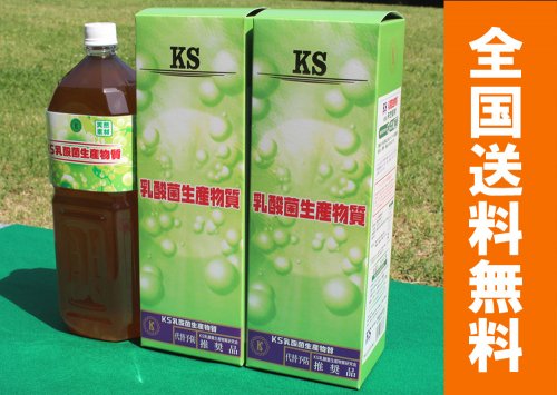 Entero エンテロ 乳酸菌飲料 しんど ２箱セット