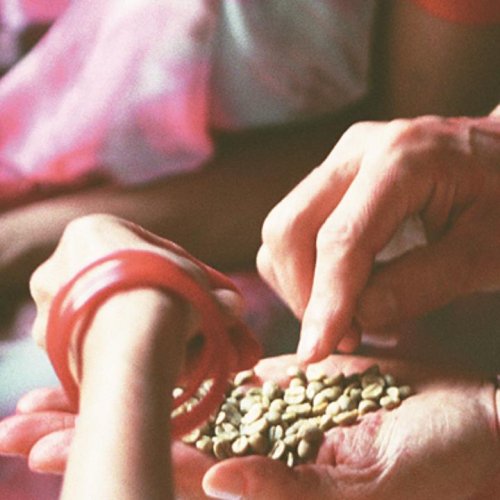 ネパール産コーヒー生豆 - ネパリ・バザーロの通販ショップ「ベルダ ...