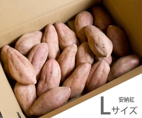 安納いも（紅） L 10kg - 紫芋・安納芋のOrga種子島