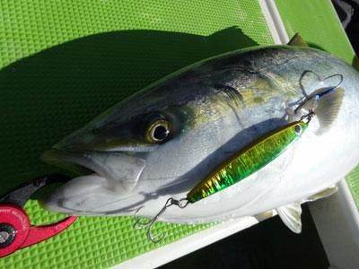 メロン屋工房 ウィークベイトショート 100g