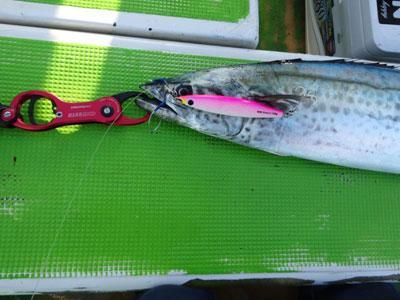 メロン屋工房] DEEP SPIRITS Weak Bait Short 100g・130g
