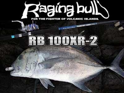 RAGING BULL 100XR2 - ロッド