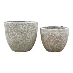 アースプレミアムボールS/2 エイジクリーム - Y'S SPACE