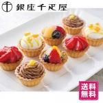 DHC ダイヤモンドリフト（イオンクリーニング・ニューパルス・光