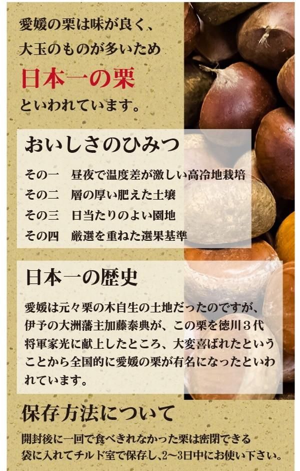 愛媛県産 むき栗 500g 純国産のぷっくり大粒栗 わいんと地酒の店かたやま 名入れ 愛媛県 松山市 酒店 酒屋