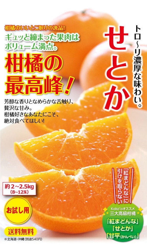 愛媛県産 せとか 約2.5キロ - 果物