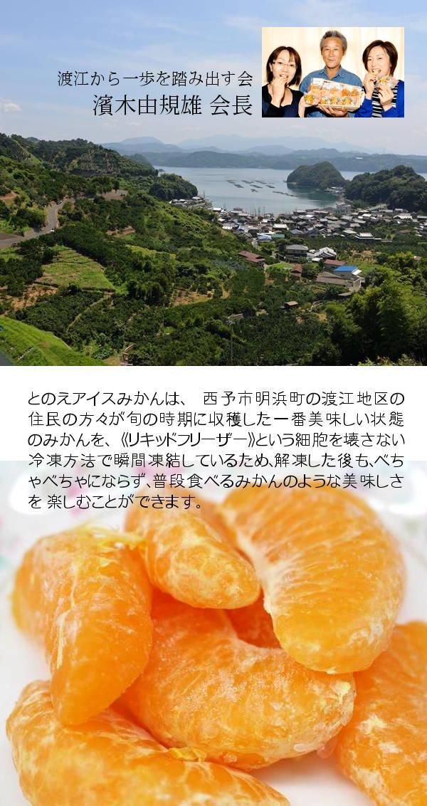 とのえアイスみかん だい ぶみきゃんセット わいんと地酒の店かたやま 名入れ 愛媛県 松山市 酒店 酒屋