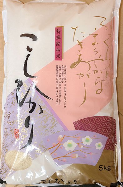 愛媛県 三間町産 こしひかり 三間米 5kg