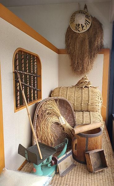 愛媛県産 あきたこまち 5kg