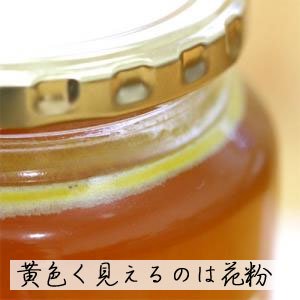国産はちみつ 日本蜜蜂 【幻のはちみつ 1kg】