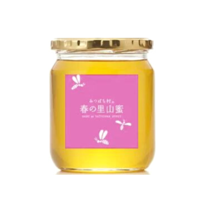 はちみつ(国産)春の里山蜜600g -はちみつ生産直販 みつばち村 はちみつ(国産)春の里山蜜600g -はちみつ生産直販 みつばち村