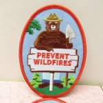 ⡼٥  ⡼٥ ¹͢ åڥ Prevent Wild Fires