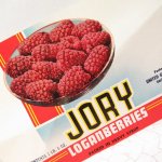 󥯻  ٥륷 Jory Brand Loganberries ̤ѥѥå