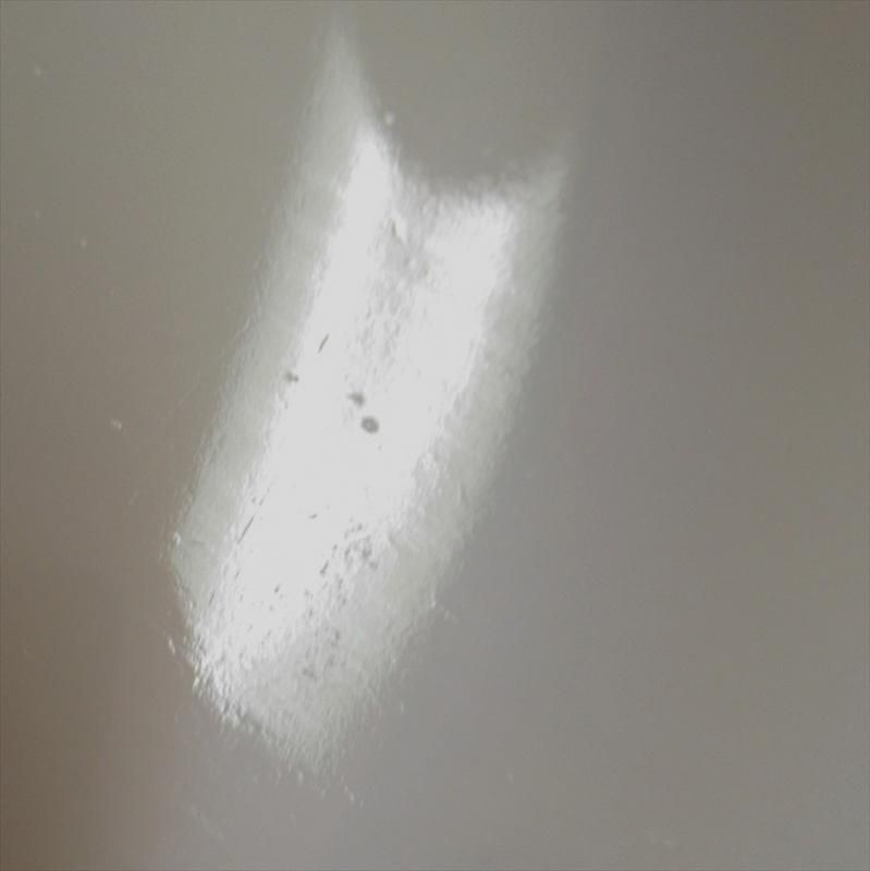 マクベスエバンス ディナープレイト　セット マクベスエバンス ペタルウェア ディナープレート【モナックス】