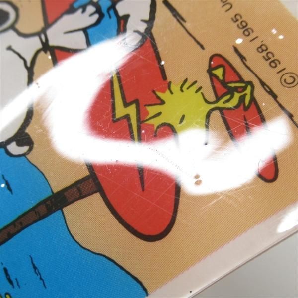 Amazon.com : Flagology.com, PEANUTS®, PEANUTS® Snoopy Land