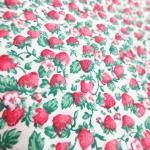 <img class='new_mark_img1' src='https://img.shop-pro.jp/img/new/icons1.gif' style='border:none;display:inline;margin:0px;padding:0px;width:auto;' />ե֥å&Ϥ 53cm x 112cm  A