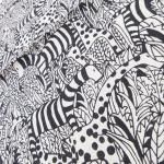  VERA ٥ åȥʥץ2祻å ưʪ