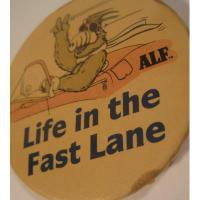 ӥơޥͥåȡTINALF - Life in the Fast Lane