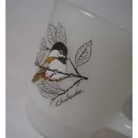 ե䡼󥰡Baltimore Oriole & Chickadeeץޥ