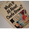 ̡ԡ ̡ԡȥ֥åWhat's It All About Charlie Brown?