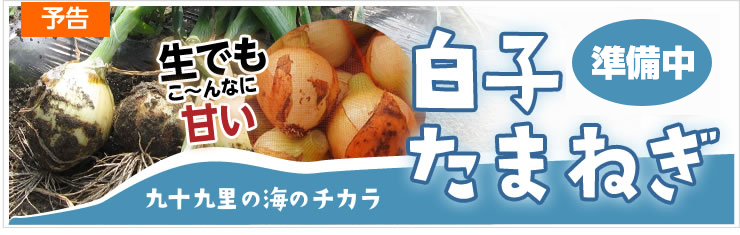 Ҥޤͤ