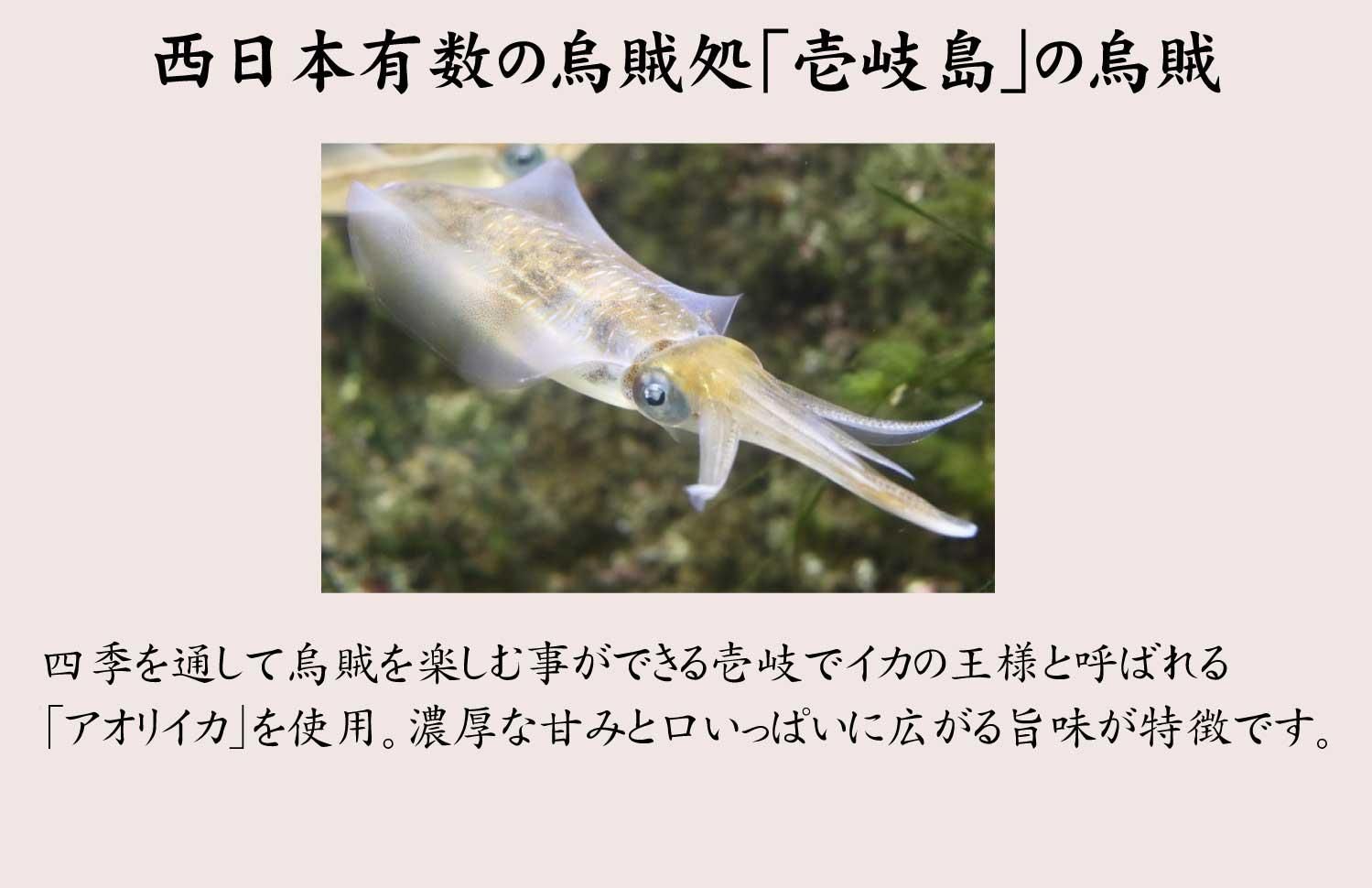 β̾ʪҤ