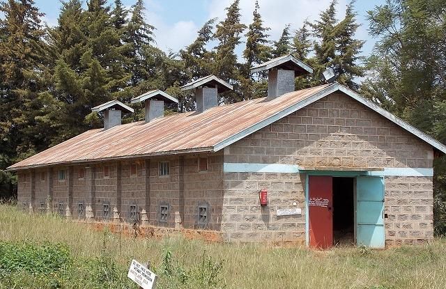 ˥ޥХեȥ꡼ƥȡʣ[ke-13]ʥҡƦ/եꥫ/Ρ